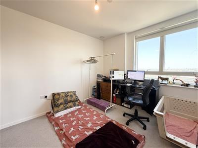 Picture 5